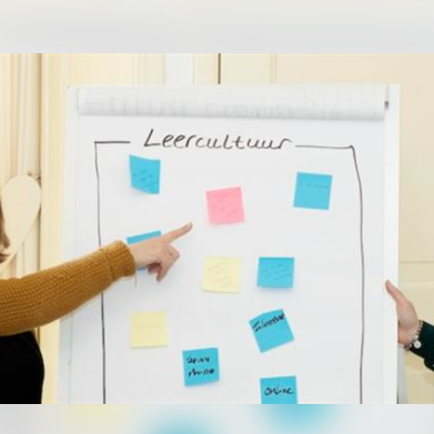 Webinar Lerende Organisaties